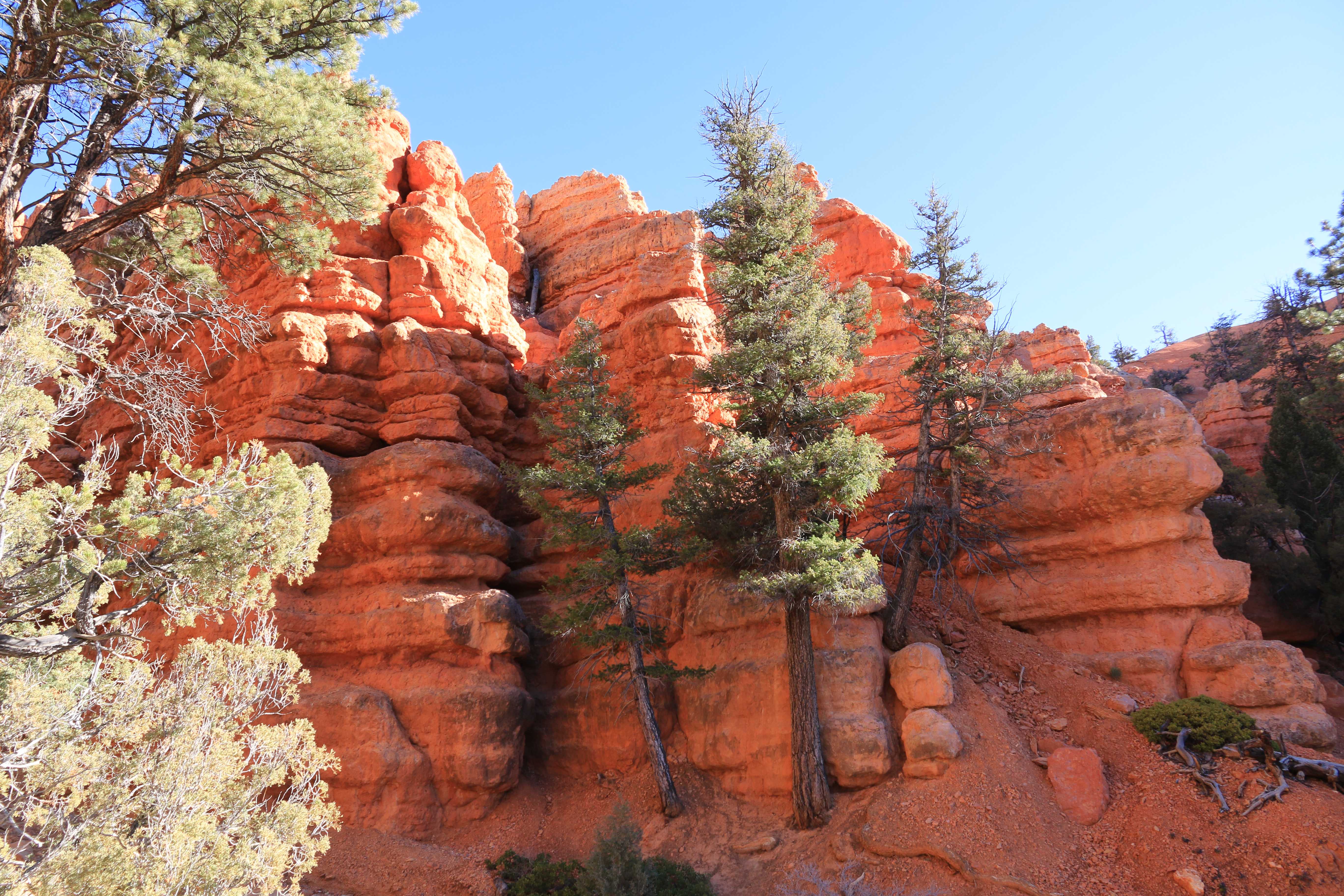 Red Canyon